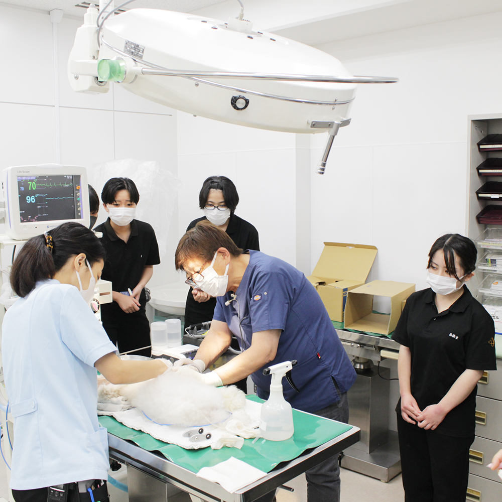 歯石除去処置のスキルアッププログラム☆